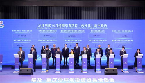 重慶沙坪壩投資貿(mào)易洽談會成功舉行，簽約6個(gè)對非經(jīng)貿(mào)合作項(xiàng)目助力信息咨詢服務(wù)升級
